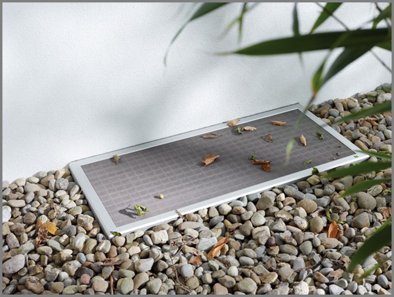 Insektenschutz
